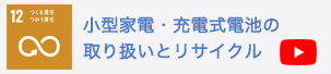 小型家電・充電式電池の取り扱いとリサイクル
